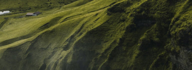 Qpes News Fortuna Services